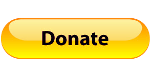 Donations Button
